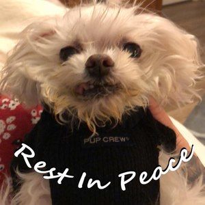 Meet your Posher, Diane